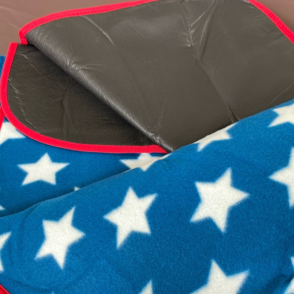 Mickey Mouse 1928 Picnic Limited Edition Picnic Blanket. Americana Collection - Picture 4 of 5